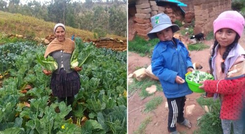 bolivia_huertos familiares.jpg